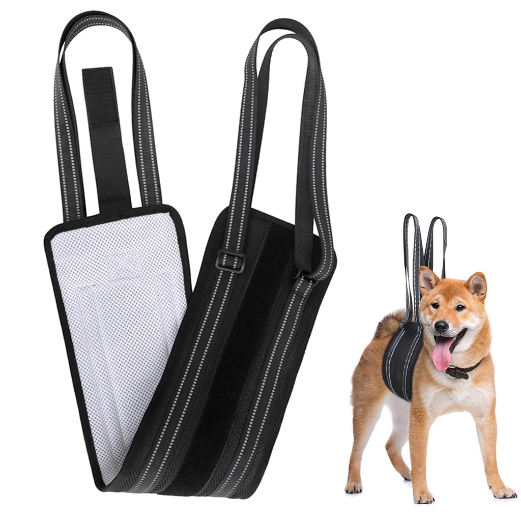 Qpets Dog Lift Harness Rear Leg Use Lifting Harness for Dog Rear Legs Support Adjustable Length and Size Rear Legs Dog Wheelchair for Back Legs for Aging Dog, Disabled, Injured Dog(Size, L) Qpets Dog Lift Harness Rear Leg Use Lifting Harness for Dog Rear Legs Support Adjustable Length and Size Rear Legs Dog Wheelchair for Back Legs for Aging Dog, Disabled, Injured Dog(Size, L)